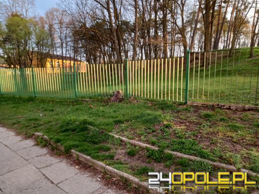 Sarna próbując przeskoczyć ogrodzenie utknęła między szczeblami. Pomogli strażacy