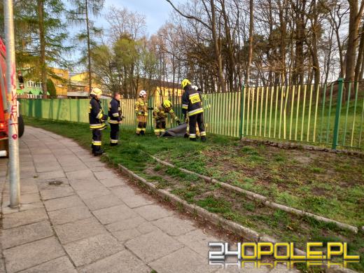 Sarna próbując przeskoczyć ogrodzenie utknęła między szczeblami. Pomogli strażacy