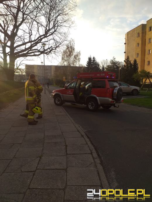 Sarna próbując przeskoczyć ogrodzenie utknęła między szczeblami. Pomogli strażacy