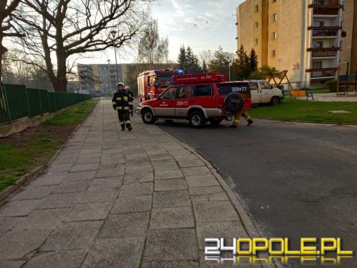 Sarna próbując przeskoczyć ogrodzenie utknęła między szczeblami. Pomogli strażacy