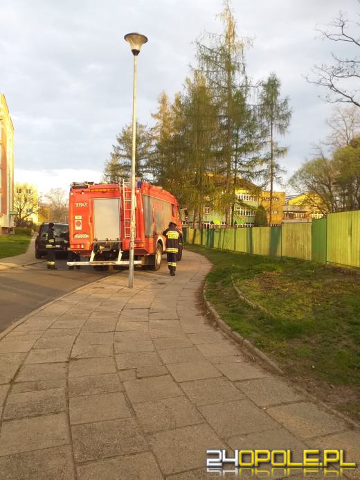 Sarna próbując przeskoczyć ogrodzenie utknęła między szczeblami. Pomogli strażacy