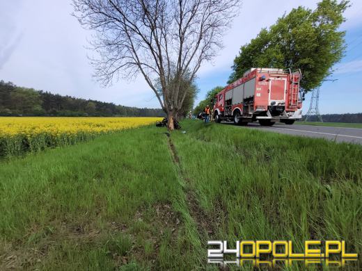 Samochód uderzył w drzewo. W środku trójka dzieci