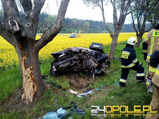 Samochód uderzył w drzewo. W środku trójka dzieci