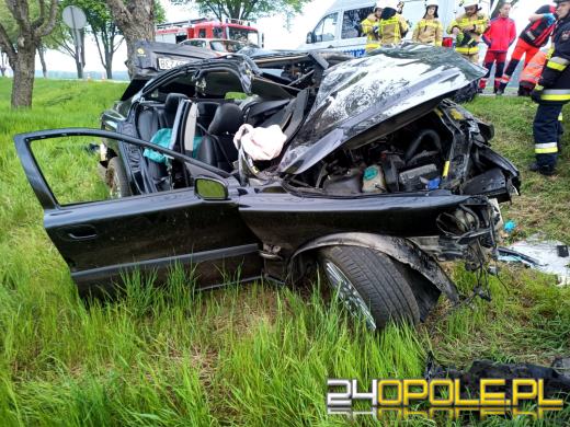 Samochód uderzył w drzewo. W środku trójka dzieci