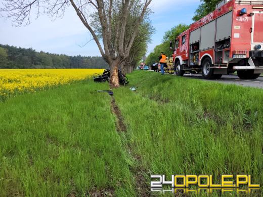 Samochód uderzył w drzewo. W środku trójka dzieci