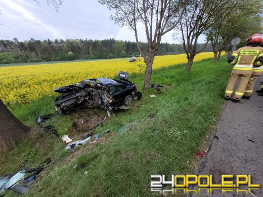 Samochód uderzył w drzewo. W środku trójka dzieci