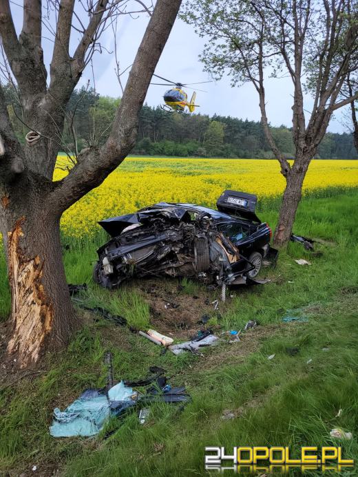 Samochód uderzył w drzewo. W środku trójka dzieci