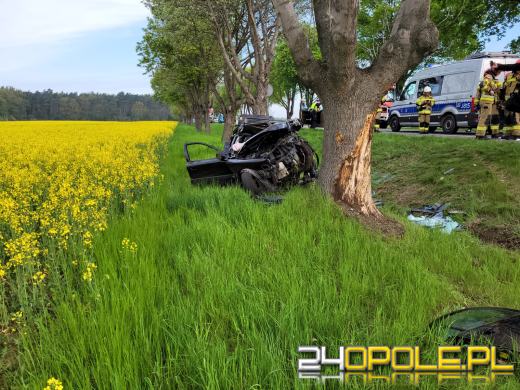 Samochód uderzył w drzewo. W środku trójka dzieci