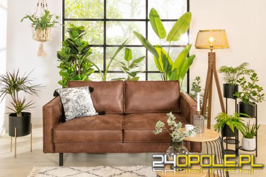 Mała sofa dwuosobowa - multum korzyści. Poznaj je wszystkie