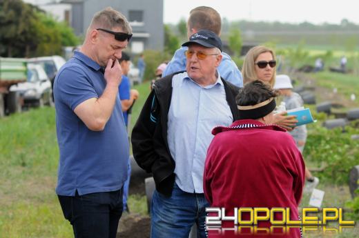 Posadzono 100 drzew na ulicy Górnej