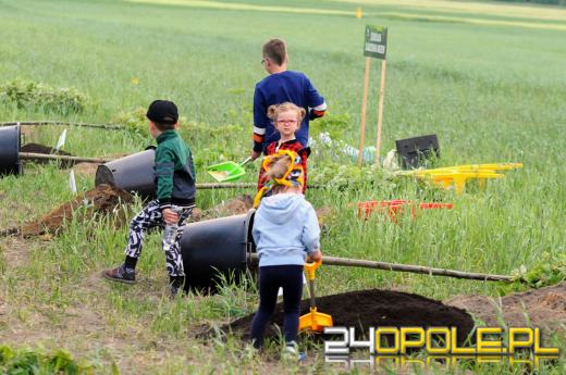 Posadzono 100 drzew na ulicy Górnej