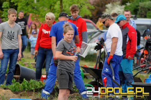 Posadzono 100 drzew na ulicy Górnej