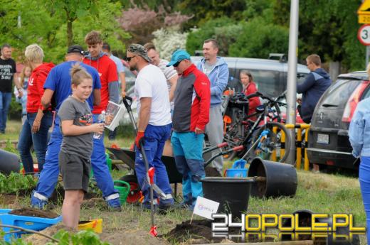 Posadzono 100 drzew na ulicy Górnej