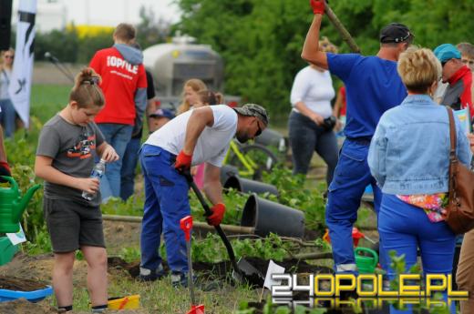 Posadzono 100 drzew na ulicy Górnej