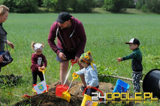 Posadzono 100 drzew na ulicy Górnej