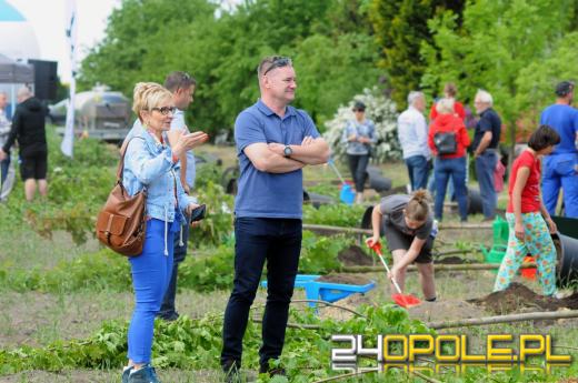 Posadzono 100 drzew na ulicy Górnej