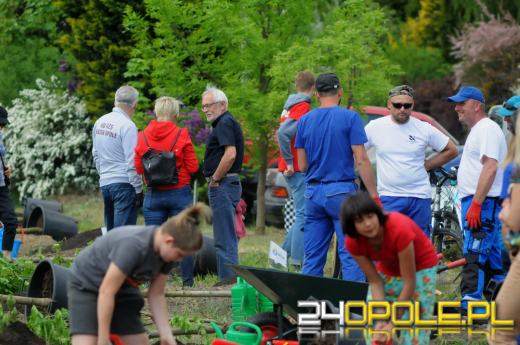 Posadzono 100 drzew na ulicy Górnej