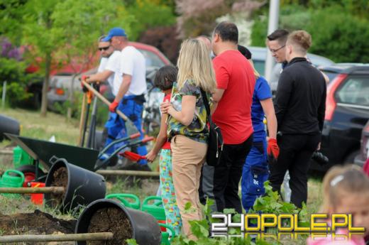 Posadzono 100 drzew na ulicy Górnej