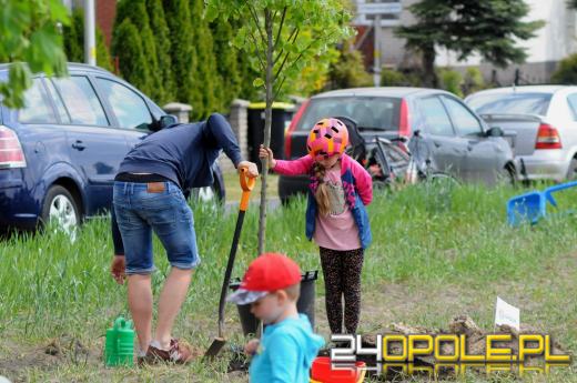 Posadzono 100 drzew na ulicy Górnej