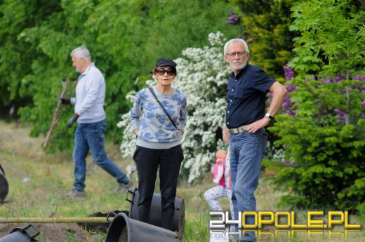 Posadzono 100 drzew na ulicy Górnej