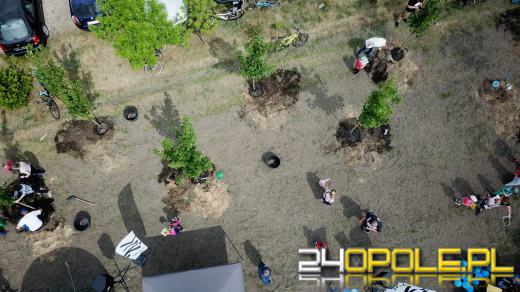 Posadzono 100 drzew na ulicy Górnej