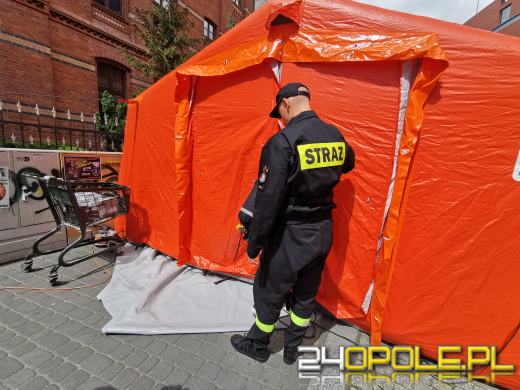 Trwają dni Opola! Sprawdź program na dziś