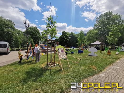 Trwają dni Opola! Sprawdź program na dziś