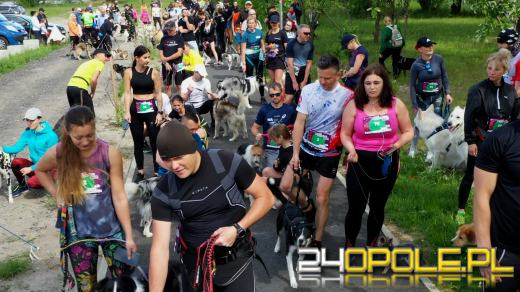 Dziesiątki czworonogów biegało i spacerowało wokół kąpieliska Malina