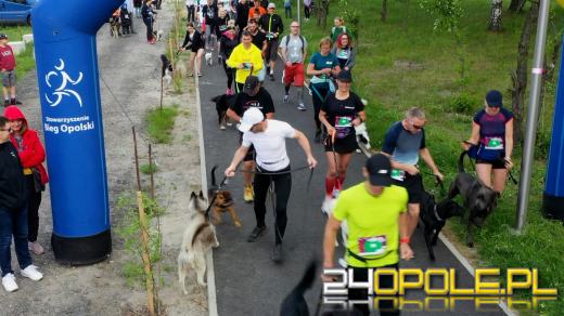 Dziesiątki czworonogów biegało i spacerowało wokół kąpieliska Malina