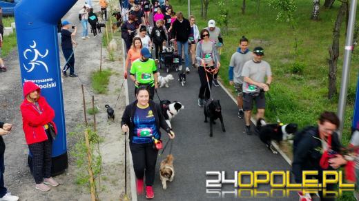 Dziesiątki czworonogów biegało i spacerowało wokół kąpieliska Malina