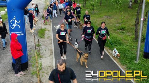 Dziesiątki czworonogów biegało i spacerowało wokół kąpieliska Malina
