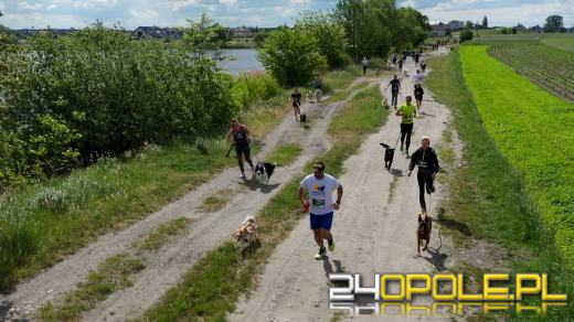 Dziesiątki czworonogów biegało i spacerowało wokół kąpieliska Malina