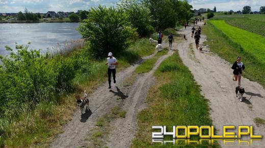 Dziesiątki czworonogów biegało i spacerowało wokół kąpieliska Malina