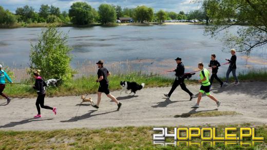 Dziesiątki czworonogów biegało i spacerowało wokół kąpieliska Malina