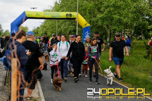 Dziesiątki czworonogów biegało i spacerowało wokół kąpieliska Malina