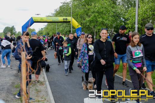 Dziesiątki czworonogów biegało i spacerowało wokół kąpieliska Malina