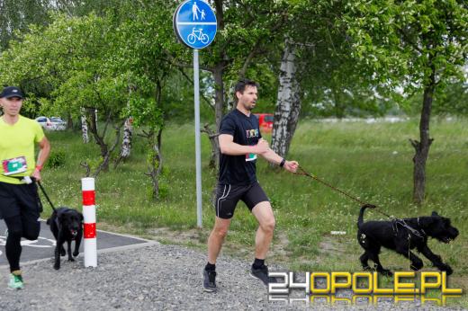 Dziesiątki czworonogów biegało i spacerowało wokół kąpieliska Malina