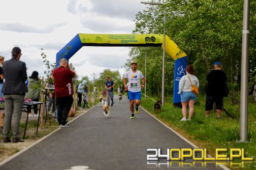 Dziesiątki czworonogów biegało i spacerowało wokół kąpieliska Malina