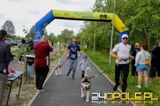 Dziesiątki czworonogów biegało i spacerowało wokół kąpieliska Malina