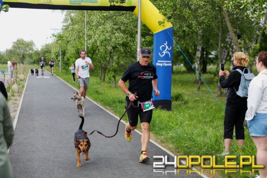 Dziesiątki czworonogów biegało i spacerowało wokół kąpieliska Malina