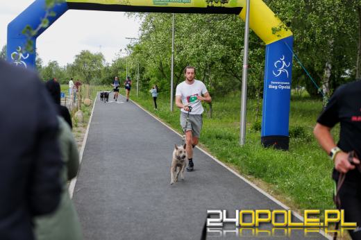 Dziesiątki czworonogów biegało i spacerowało wokół kąpieliska Malina