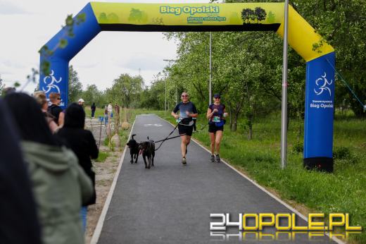 Dziesiątki czworonogów biegało i spacerowało wokół kąpieliska Malina