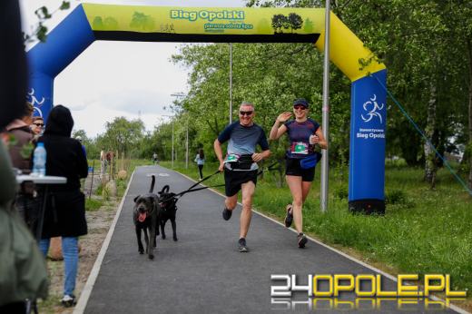Dziesiątki czworonogów biegało i spacerowało wokół kąpieliska Malina