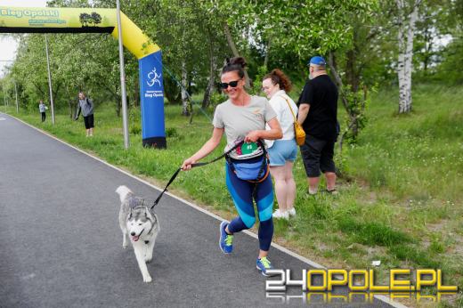 Dziesiątki czworonogów biegało i spacerowało wokół kąpieliska Malina