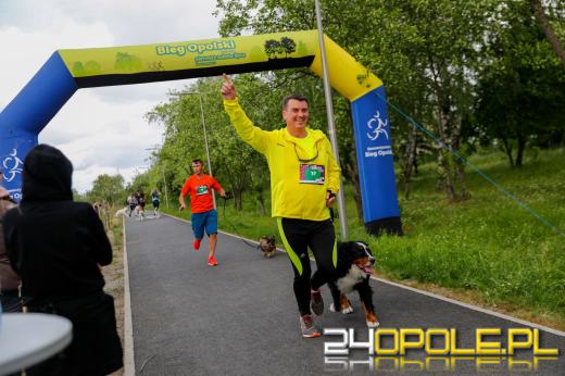 Dziesiątki czworonogów biegało i spacerowało wokół kąpieliska Malina