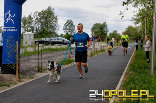 Dziesiątki czworonogów biegało i spacerowało wokół kąpieliska Malina