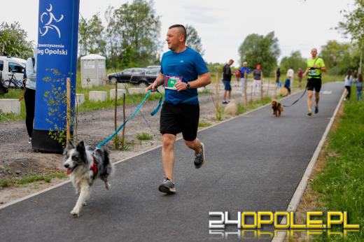 Dziesiątki czworonogów biegało i spacerowało wokół kąpieliska Malina