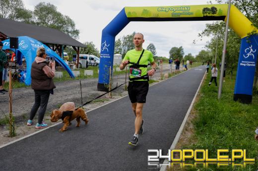 Dziesiątki czworonogów biegało i spacerowało wokół kąpieliska Malina