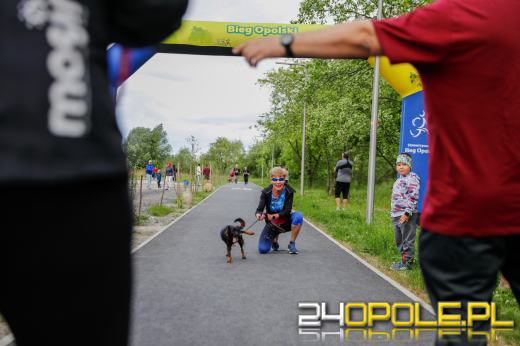 Dziesiątki czworonogów biegało i spacerowało wokół kąpieliska Malina