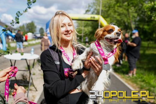 Dziesiątki czworonogów biegało i spacerowało wokół kąpieliska Malina
